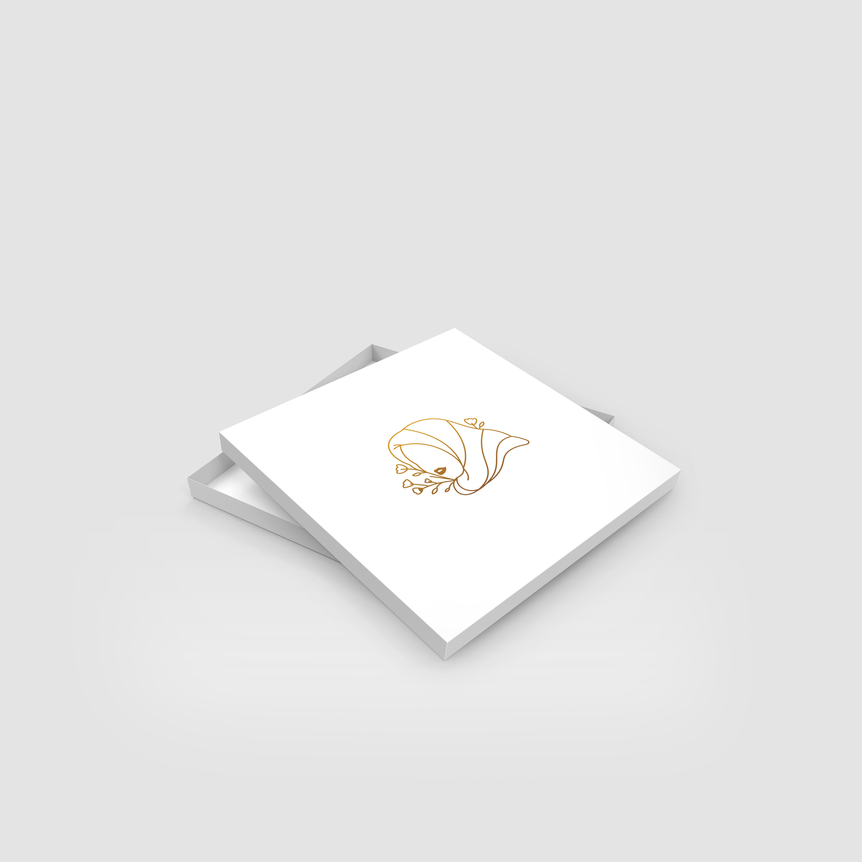 Şal ve Eşarp Kutusu