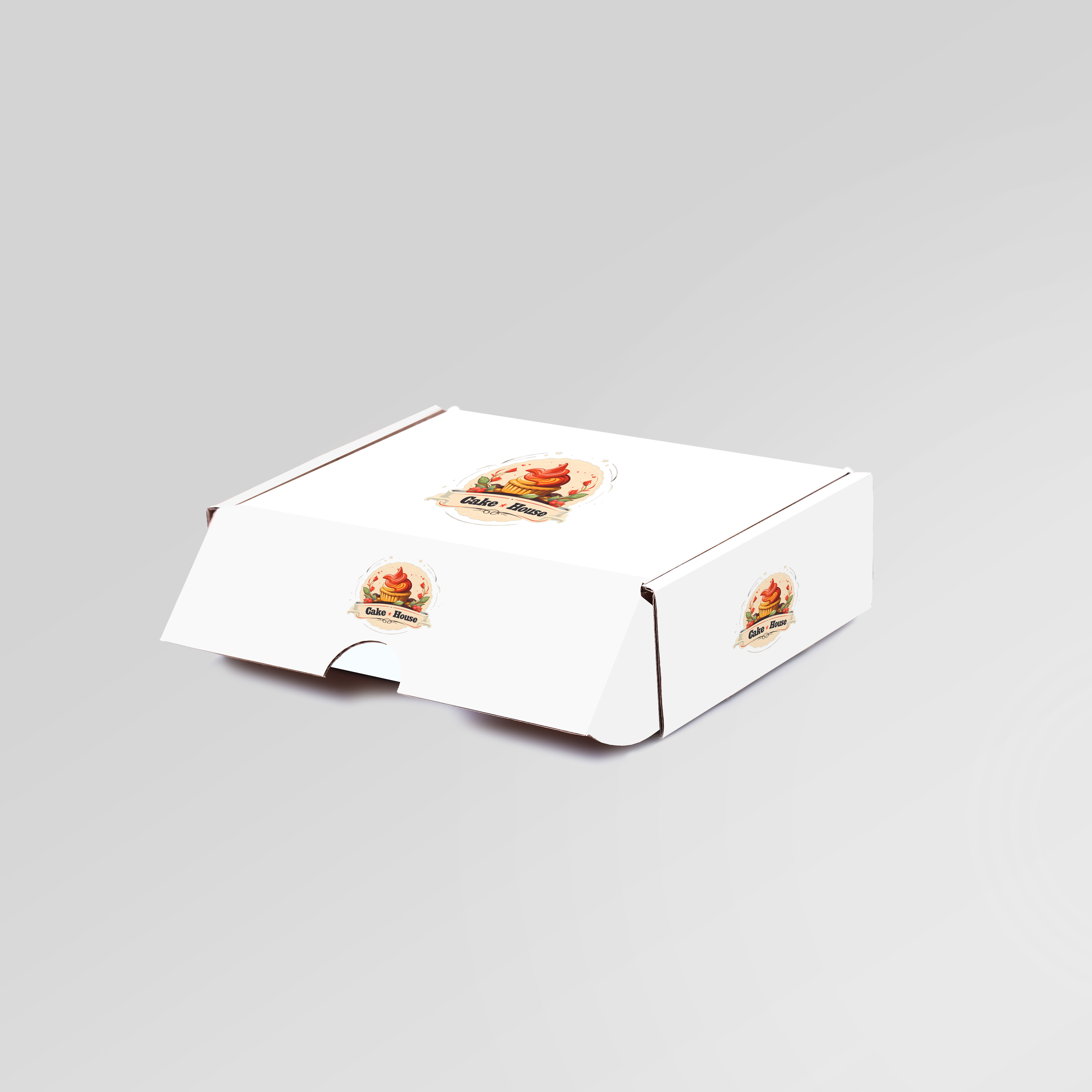 Sıvamalı Ofset Baskılı Kutu